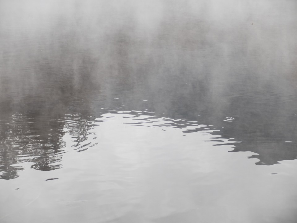 金鱗湖朝霧
